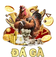 Hoàn Trả Hàng Ngày/Tuần f8best